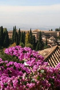 Alhambra: Skip The Line Ticket + Guided Tour