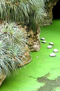 Sintra: Ukryte klejnoty - zwiedzanie z przewodnikiem + Quinta da Regaleira (opcjonalnie)