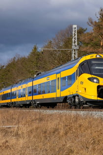 Amsterdam: Tog- og bustransport til/fra Bloemendaal Strand