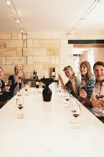 Saint-Emilion: Wijnproeverij met gids + Lunch