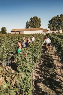 Saint-Emilion: Wijnproeverij met gids + Lunch