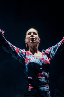 Teatro Flamenco Sevilla : Spectacle de flamenco
