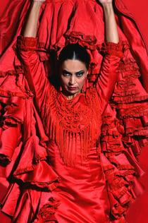 Teatro Flamenco Málaga: Flamenco-Show