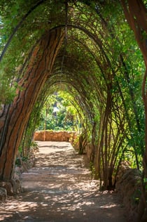 Park Güell & Gaudi Huismuseum: Toegangskaartje + audiogids
