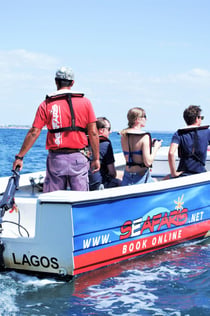 Lagos: Excursión guiada en barco por Ponta da Piedade