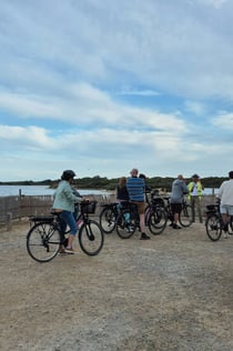 バレンシア：ガイド付き自転車ツアー（半日）