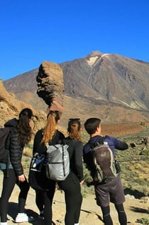 Teneriffa: Halvdagars guidad tur till Teide nationalpark