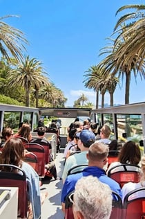 City Sightseeing Porto: 48-godzinny autobus hop-on hop-off + degustacja rejsowa i portowa