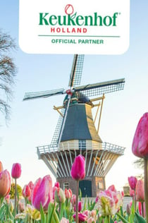 Madurodam et Keukenhof : Excursion d'une journée depuis Amsterdam
