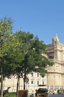 Sevilla: visita guiada a l'alcàzar i la catedral