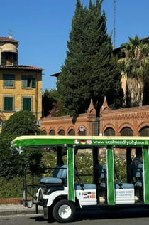 Pisa: Tour guidato della città in auto elettrica panoramica