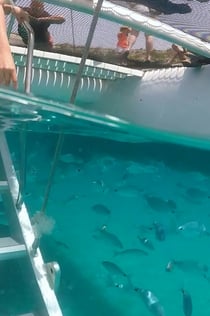 Cap NorfeuとCadaques ：バラからのセーリング旅行