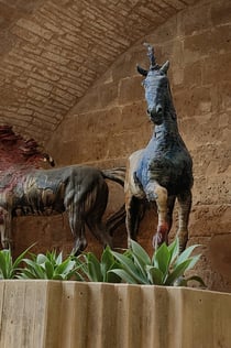 Palazzo Steri Chiaromonte: Biglietto d'ingresso