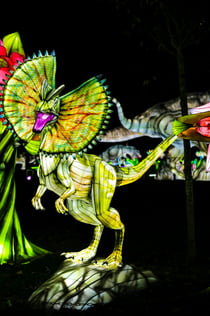 Jardin d'Acclimatation: Laternenfest - Tanz der Dinosaurier