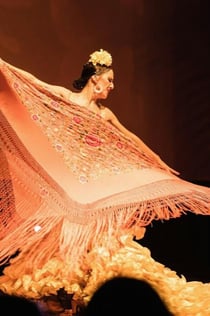 Puerto de la Cruz: Flamenco Pasión Show