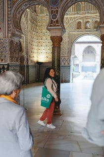 Sevilla: Tour guiat a peu + Entrada a l'Alcàzar, la Catedral i la Torre de la Giralda