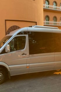 Granada: Traslado privado desde/hasta el aeropuerto