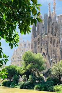 Sagrada Familia y Park Güell: Visita guiada con transporte