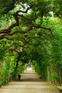 Boboli Gardens: Guided Tour