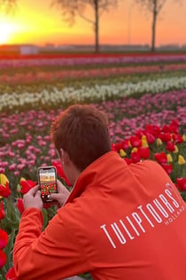 Keukenhof: Guidad tur i solnedgången från Amsterdam + middag