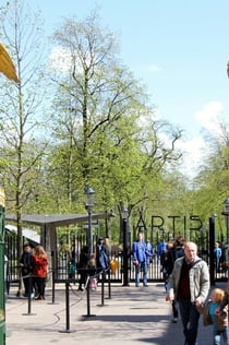 Zoo Royal ARTIS : Billet d'entrée