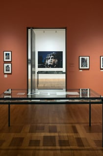 Foam Fotografiemuseum: Eintrittskarte
