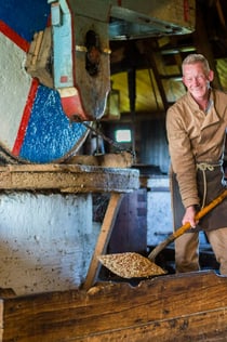 Zaanse Schans, Volendam e Marken: visita guiada + guia de áudio