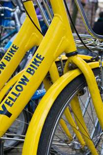 Amsterdam : 2 heures d'excursion à vélo pour découvrir les points forts de la ville