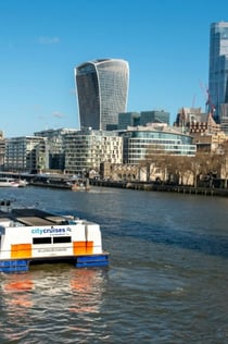 Лондон: круглосуточный круиз Hop-on Hop-off City Cruise