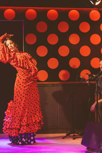Los Tarantos: Show de Flamenco