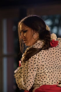 Jardines de Zoraya: flamencoshow