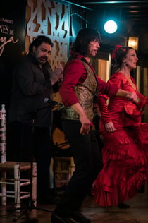 Jardines de Zoraya: flamencoshow