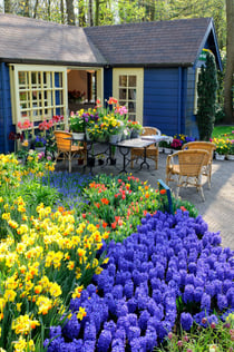 Keukenhof: Inträdesbiljett + transport med buss