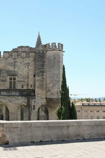 Palau dels Papes i jardins: tiquet d'entrada