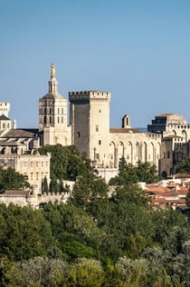 Palau dels Papes i jardins: tiquet d'entrada