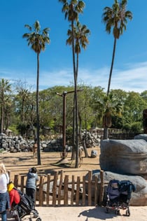 Parc zoologique de Barcelone : Billet coupe-file