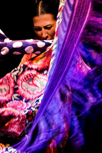 Flamenco Dance Museum - kun show
