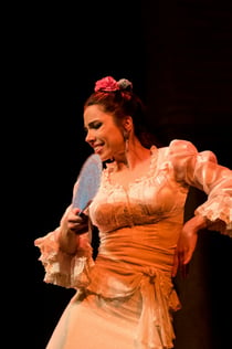 Flamenco Dance Museum - kun show