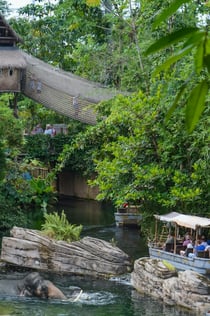 Wildlands Adventure Zoo Emmen: Entrada sin colas