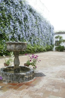 Viana Patios