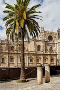 Kathedrale von Sevilla: Tickets ohne Anstehen + Führung