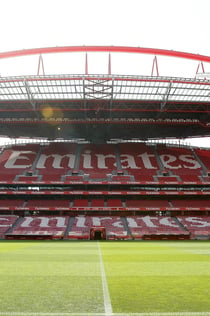 Estádio da Luz Tour + Benfica Museum: Entry Ticket