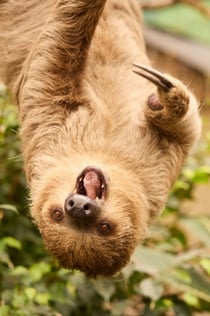 ZooParc Overloon: 입장권