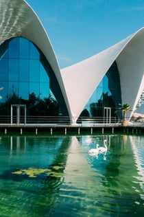Oceanogràfic de Valencia: Indgangsbillet