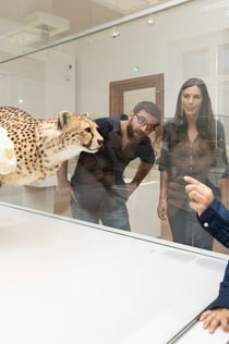 Museo de Historia Natural de Graz - Joanneumsviertel
