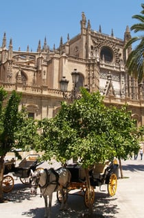 Königlicher Alcázar von Sevilla: Eintrittskarte + 75-minütige Guided Tour
