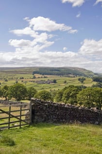 Yorkshire Dales: Excursión desde York