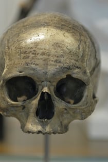 Musée de l'Homme: Εισιτήριο παράκαμψης της ουράς
