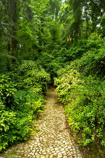 Pena Park in Sintra: Entry Ticket