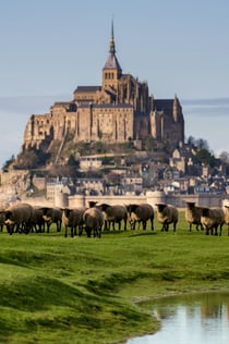 Mont Saint-Michel: Ημερήσια εκδρομή από το Παρίσι
